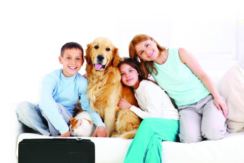 OCZYSZCZACZ POWIETRZA FELLOWES AERAMAX PET