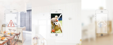 KAMERA IP 2 MPX DAHUA IPC-C22P