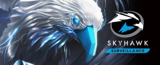 OUTLET_1: Dysk HDD Seagate SkyHawk ST2000VX017 2TB (OUTLET)