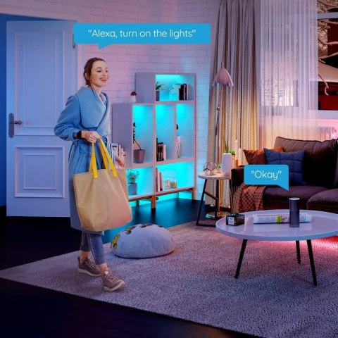 Govee H615A LED Strip Light 5m Taśma LED Wi-Fi, RGB