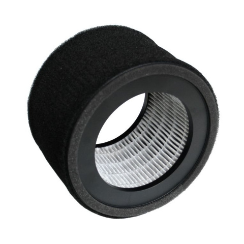 Oczyszczacz powietrza Webber AP8115