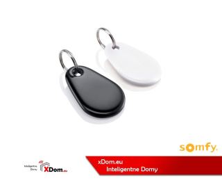 SOMFY 1875067 Zestaw 4 kart magnetycznych dla systemu VSYSTEM PRO