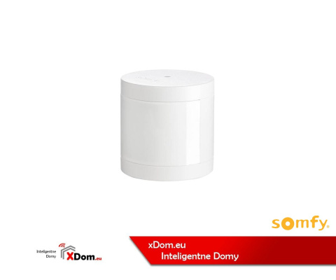 Somfy 2401490 wewnętrzny czujnik ruchu, dostosowany do Twoich potrzeb.
