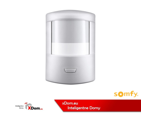 SOMFY czujnik ruchu 1875003
