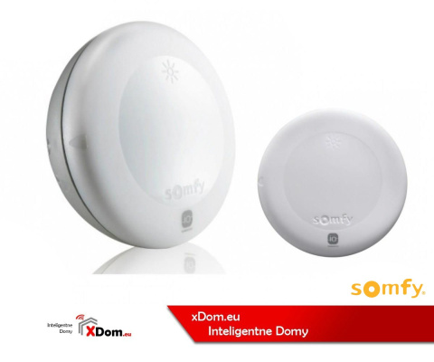 Somfy 1818285 Sunis WireFree II