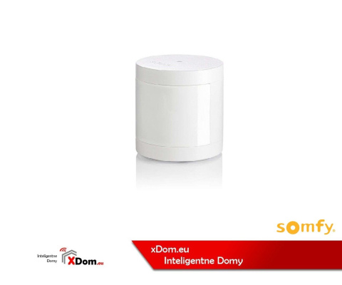 Czujnik Somfy Protect 1870385