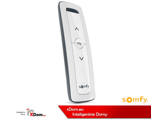 Pilot Somfy 1870403 Situo 2 RTS Pure