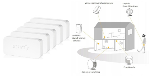 Somfy 1870383 czujnik wibracji i otwarcia IntelliTAG