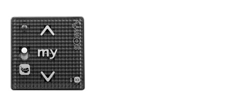 SOMFY 1811316 Pilot Smoove RS100 IO Black Shine