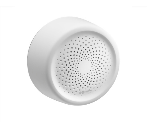 SOMFY 1811561 Syrena alarmowa