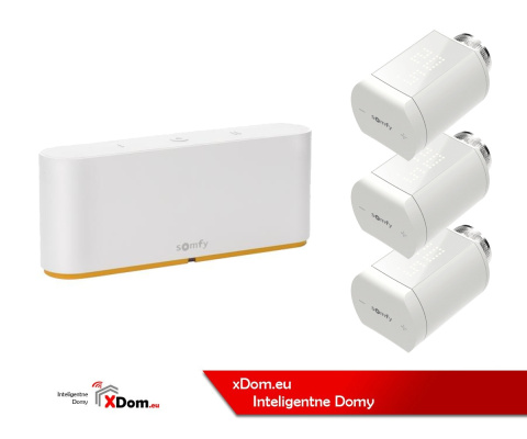 Somfy 1870594 Tahoma switch zestaw sterowania ogrzewaniem.