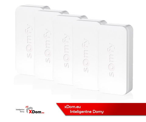 Somfy 1870383 czujnik wibracji i otwarcia IntelliTAG